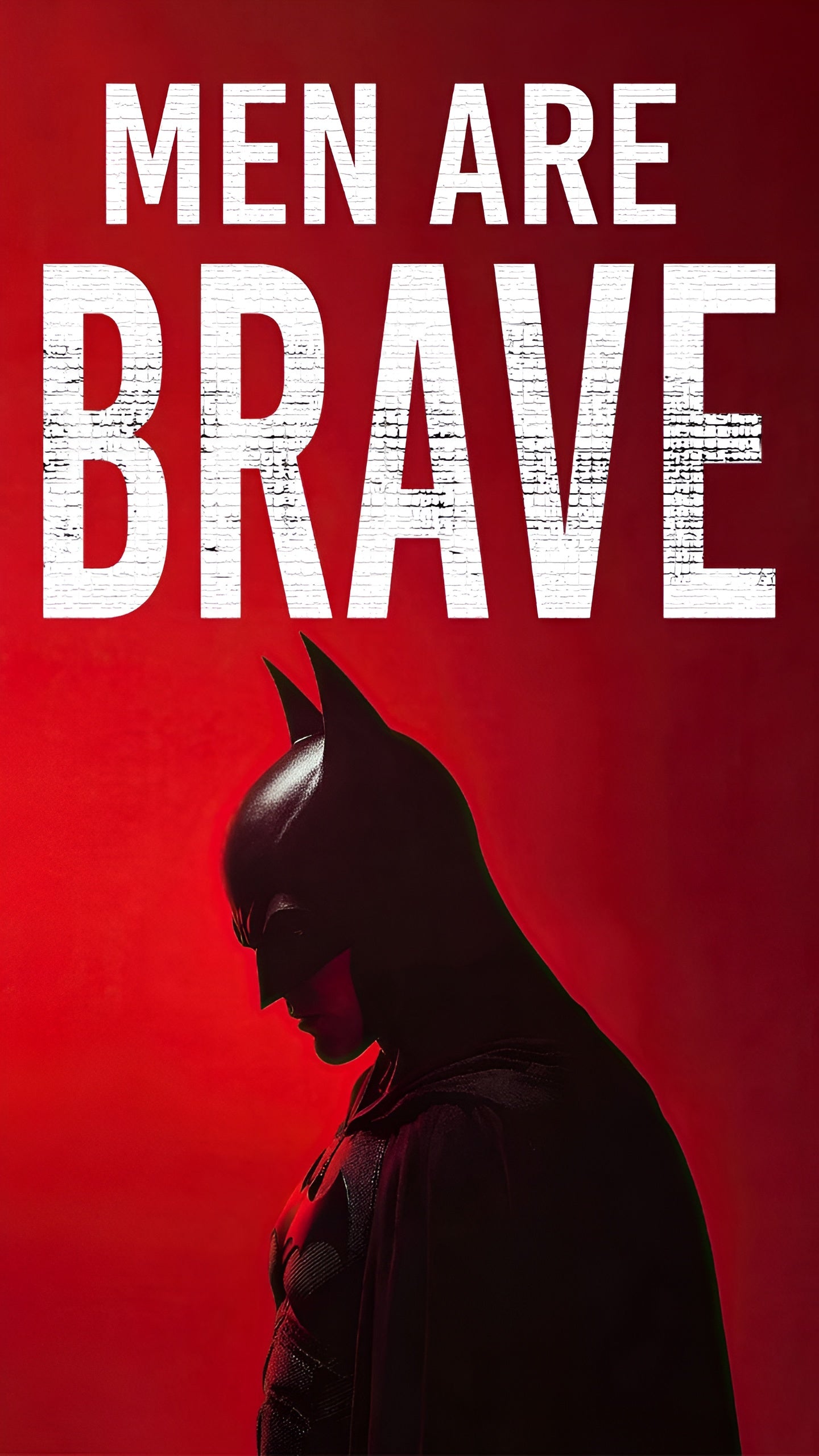 DC Multiverse Collection #04 | Iconic Wall Art